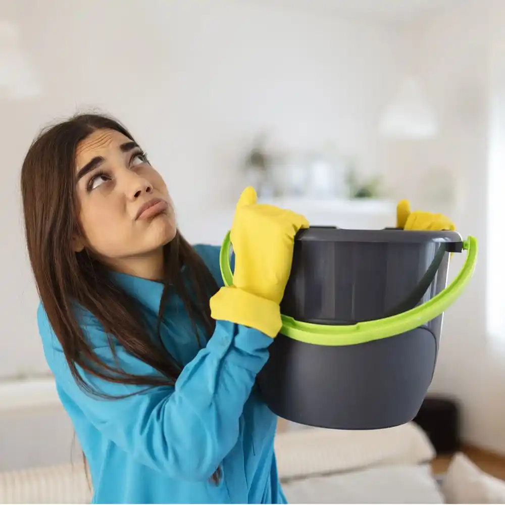 water damage restoration service Port Washington North